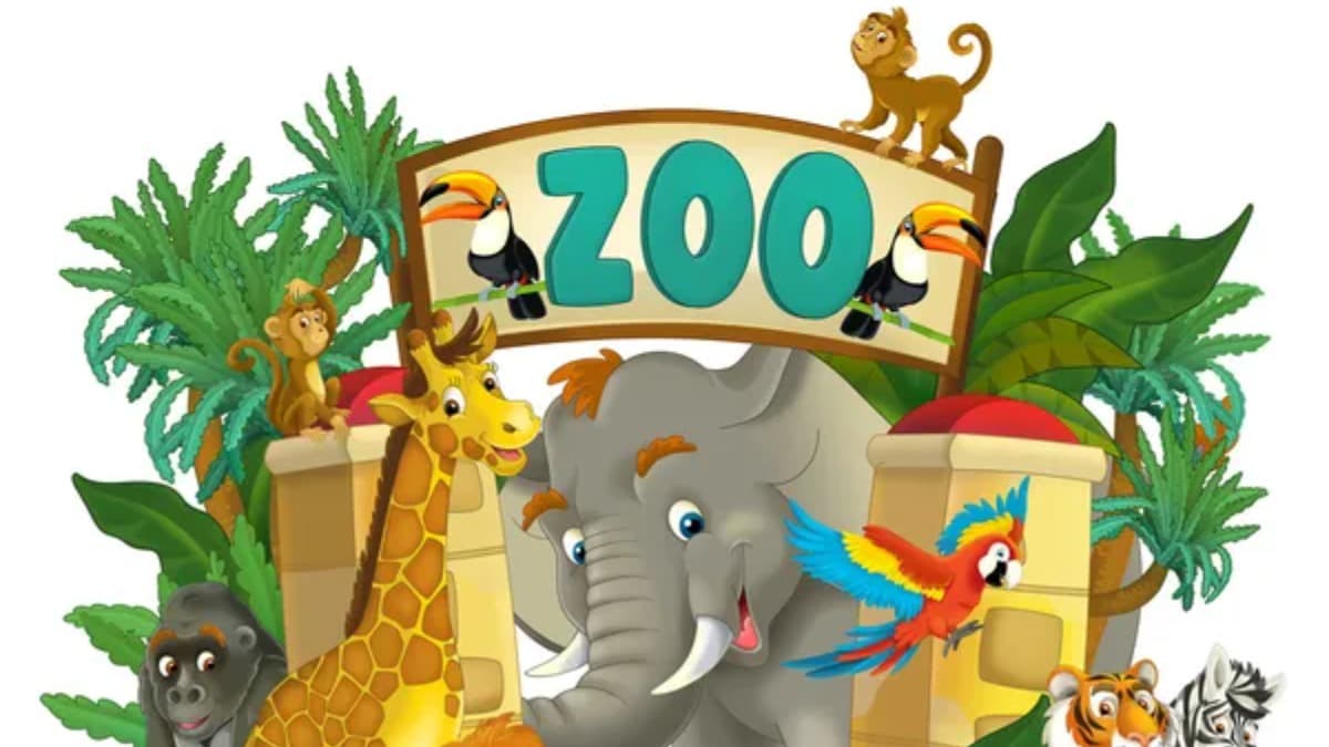 Zoo Cycle — The Basement Club, Chiang Mai
