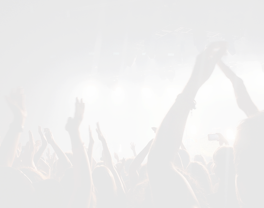 Concert crowd