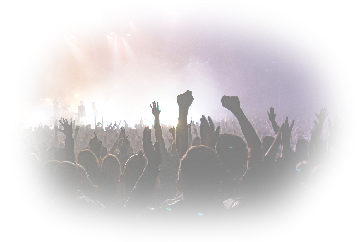 Concert crowd
